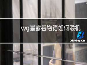 wg星露谷物语如何联机
