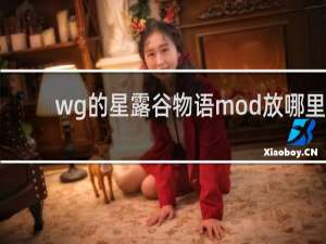 wg的星露谷物语mod放哪里