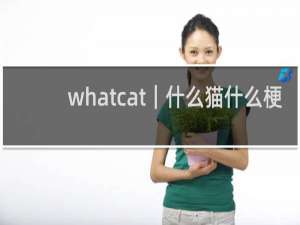whatcat｜什么猫什么梗