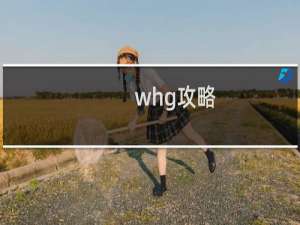 whg攻略