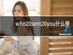 who sent you什么梗