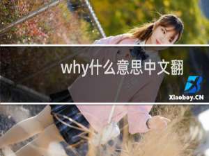 why什么意思中文翻译（why什么意思）