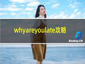 whyareyoulate攻略