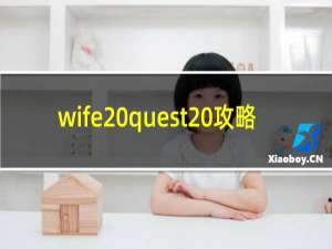 wife quest 攻略