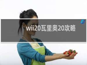 wii 瓦里奥 攻略