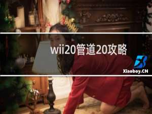 wii 管道 攻略