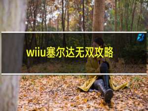 wiiu塞尔达无双攻略