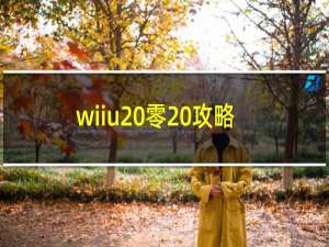 wiiu 零 攻略