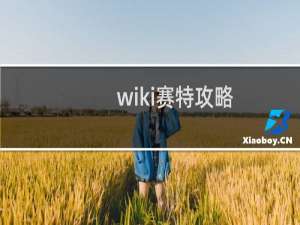 wiki赛特攻略