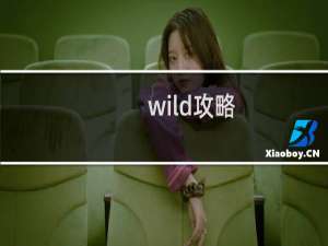 wild攻略