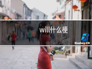 will什么梗