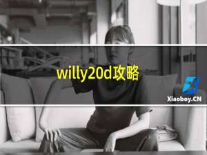 willy d攻略