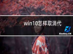 win10怎样取消代理服务器