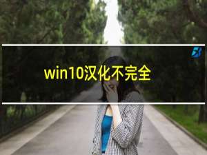 win10汉化不完全