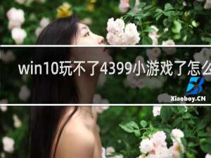 win10玩不了4399小游戏了怎么办