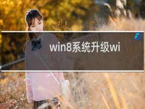 win8系统升级win8.1总是提示失败的几种原因及解决方法