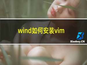 wind如何安装vim
