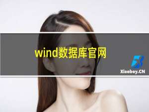 wind数据库官网