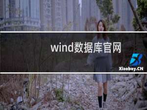 wind数据库官网