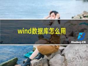 wind数据库怎么用