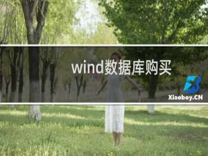 wind数据库购买