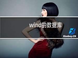 wind的数据库