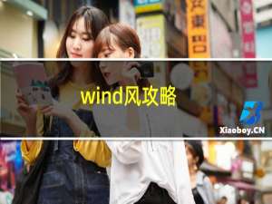 wind风攻略