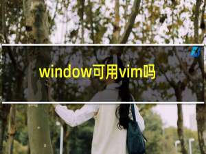 window可用vim吗