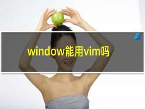 window能用vim吗