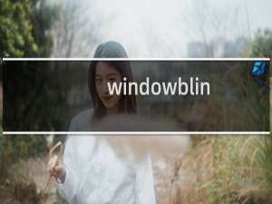 windowblinds 6