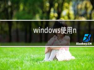 windows使用netsh设置静态&动态ip的脚本