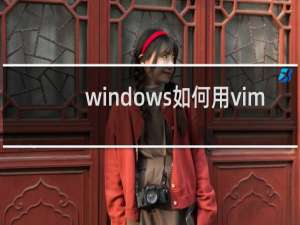 windows如何用vim