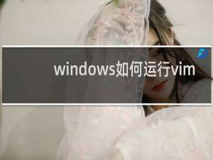 windows如何运行vim