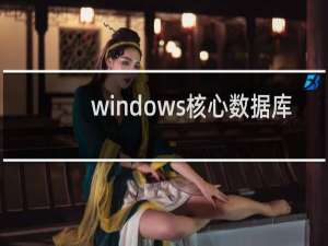 windows核心数据库