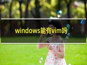 windows能有vim吗
