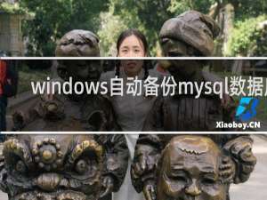 windows自动备份mysql数据库