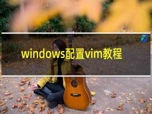 windows配置vim教程