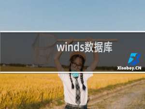 winds数据库