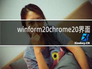 winform chrome 界面