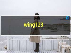 wing123（wing1 2）