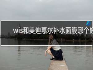 wis和美迪惠尔补水面膜哪个好
