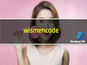 wismencoder怎么用