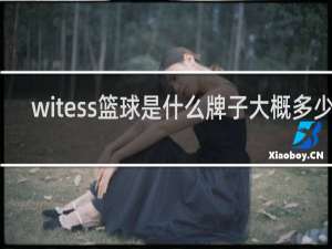 witess篮球是什么牌子大概多少钱