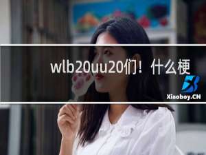 wlb uu 们！什么梗