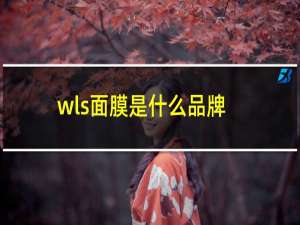 wls面膜是什么品牌