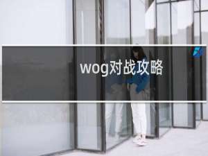 wog对战攻略