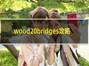 wood bridges攻略