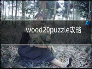wood puzzle攻略