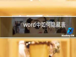 word中如何隐藏表格线
