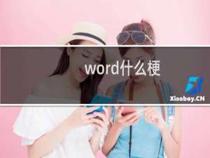 word什么梗